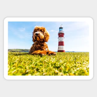 Dog As Big As A Lighthouse Sticker